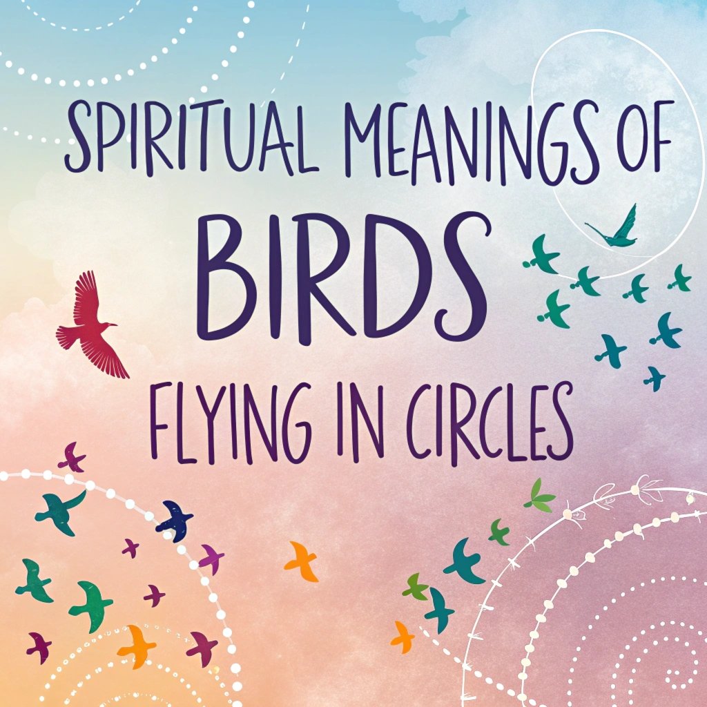 14 Spiritual Meanings of Birds Flying in Circles: Hidden Divine Messages