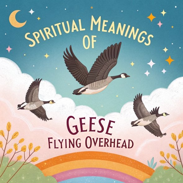 14 Spiritual Meanings of Geese Flying Overhead: A Journey of Personal Growth