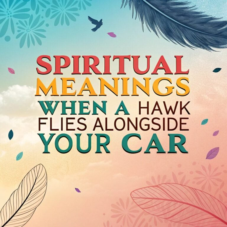 14 Spiritual Meanings When a Hawk Flies Alongside Your Car: A Profound Journey of Guidance and Transformation