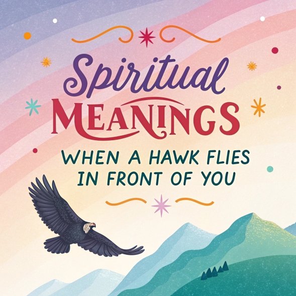 13 Spiritual Meanings When a Hawk Flies in Front of You: A Guide to Divine Messages and Personal Growth