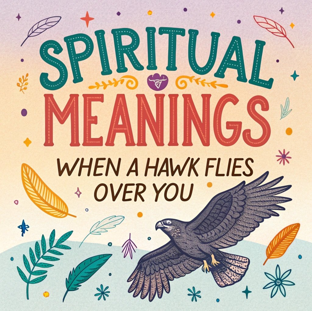 13 Spiritual Meanings When a Hawk Flies Over You: Profound Messages and Symbolic Insights